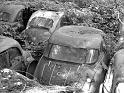 Autofriedhof - 022